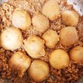 御嬢さん's cooksnap of when they made 里芋と挽肉の煮物.