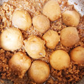 御嬢さん's cooksnap of when they made 里芋と挽肉の煮物.