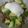 ☆ラム☆'s cooksnap of when they made すごくおいしい！ポーチドエッグとアボカドの丼.