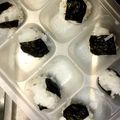 むーにんママ's cooksnap of when they made 離乳食後期☆簡単手掴みおにぎり♪.