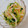 エリィ∞'s cooksnap of when they made 簡単！中華風鶏ささみと豆苗マロニーサラダ.