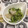 ぽぽきゅ's cooksnap of when they made 豆苗と舞茸のおひたし.