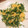 mari♪☻'s cooksnap of when they made 【簡単】豆苗卵炒め（5分）.