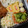 SUI＊KOH's cooksnap of when they made お弁当♪キャベツときゅうりのゆかり和え.