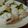 めーこ先生's cooksnap of when they made 鱧の湯引きを梅肉で.