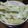 喜屋武壱岐家's cooksnap of when they made 簡単！セロリとりんごのシャキシャキサラダ.
