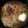 はりのことね's cooksnap of when they made めんつゆで旭川醤油ラーメン.