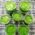 ゆうかりおん's cooksnap of when they made モロヘイヤのとろとろ冷製スープ.