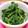 まぶたん's cooksnap of when they made ほうれん草のごま和え.