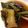くるみたん。's cooksnap of when they made たっぷり夏野菜★ナスとピーマンの焼き浸し.