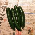 kisr1010's cooksnap of when they made 【龍愛】きゅうりの保存方法＋選び方.