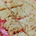 スカーレットの末裔's cooksnap of when they made 材料たった1つだけ！もちもちレンコン餅.