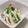 ちょびころ's cooksnap of when they made セロリときゅうりの甘酢サラダ☆お新香風♪.