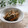 まろんかふぇ's cooksnap of when they made 我が家の定番きんぴら.