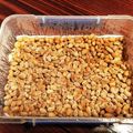 エマのマミー's cooksnap of when they made 一発で成功！蒸し大豆で作る自家製納豆.