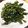 卵せんべい's cooksnap of when they made 空芯菜炒め.