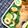 nosso's cooksnap of when they made チクワとキュウリのゴマ和え.