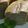 bulookys's cooksnap of when they made きなこと豆腐のシフォンケーキ.