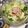 ぽぽきゅ's cooksnap of when they made とりささみ缶で◎おいしい冷奴のタレ.