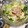 ぽぽきゅ's cooksnap of when they made とりささみ缶で◎おいしい冷奴のタレ.