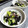 卯月のうさぎ２０１４'s cooksnap of when they made オクラとひじきの梅和え.