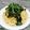 ebipeco's cooksnap of when they made たらこ　or　明太子パスタ.
