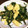 卵せんべい's cooksnap of when they made 簡単〜空芯菜とふわふわ玉子の合わせ炒め♪.