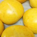 zuizui's cooksnap of when they made かぼちゃあんパン☆クリチ入り.