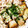 307号室's cooksnap of when they made 厚揚げのネギ納豆かけ.