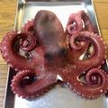 じょもにふ's cooksnap of when they made 生タコの茹で方 楽々！下処理.
