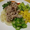 のんこ's cooksnap of when they made 夏野菜冷しゃぶうどん⋆*.