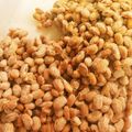 豆花子's cooksnap of when they made 一発で成功！蒸し大豆で作る自家製納豆.