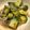 クックやまや's cooksnap of when they made 超簡単！アボガドしらすポキ風.