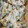 ポポポポポフィ〜♡'s cooksnap of when they made 簡単＊きゅうりとツナのマヨ和え.