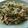 tkiriba's cooksnap of when they made 豆苗ともやしの中華炒め.