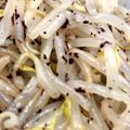 たんく３１'s cooksnap of when they made ゆかりもやし.