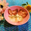 ももちゃんのれしぴ's cooksnap of when they made カマンベールチーズをレンチン.