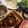 ぴかりんʕ•ᴥ•ʔ's cooksnap of when they made 煮込みハンバーグ.