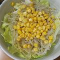 もりのりころ's cooksnap of when they made 生姜、胡麻、柚子胡椒のドレッシング.