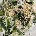 ありしゅ☆ママ's cooksnap of when they made ほうれん草と豆もやしのナムル.