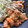 MatsCafe's cooksnap of when they made まいう〜☆唐揚げ大作戦！.