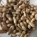 ｍａｒしゃん's cooksnap of when they made 茹で落花生.
