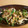 あろま…'s cooksnap of when they made ＊ピーマン、舞茸、油揚げのきんぴら＊.