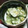 ののっく's cooksnap of when they made きゅうりと切りイカの和え物サラダ.