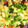 Emiii28's cooksnap of when they made お弁当に！塩昆布とじゃがと青梗菜炒め.