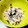 o^o^oayuayu's cooksnap of when they made 鮭とわかめの炊き込み御飯.