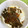 ☆なあなクック☆'s cooksnap of when they made 圧力鍋で簡単！鰯の煮付け.
