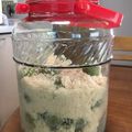 塩むすび好き's cooksnap of when they made 簡単！失敗なしの梅シロップ.