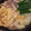 いりーな's cooksnap of when they made おしゃれ＆簡単☆鴨とネギのシンプル塩鍋.