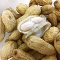みちみちみったん's cooksnap of when they made 生の落花生の茹で方 2017年バージョン.